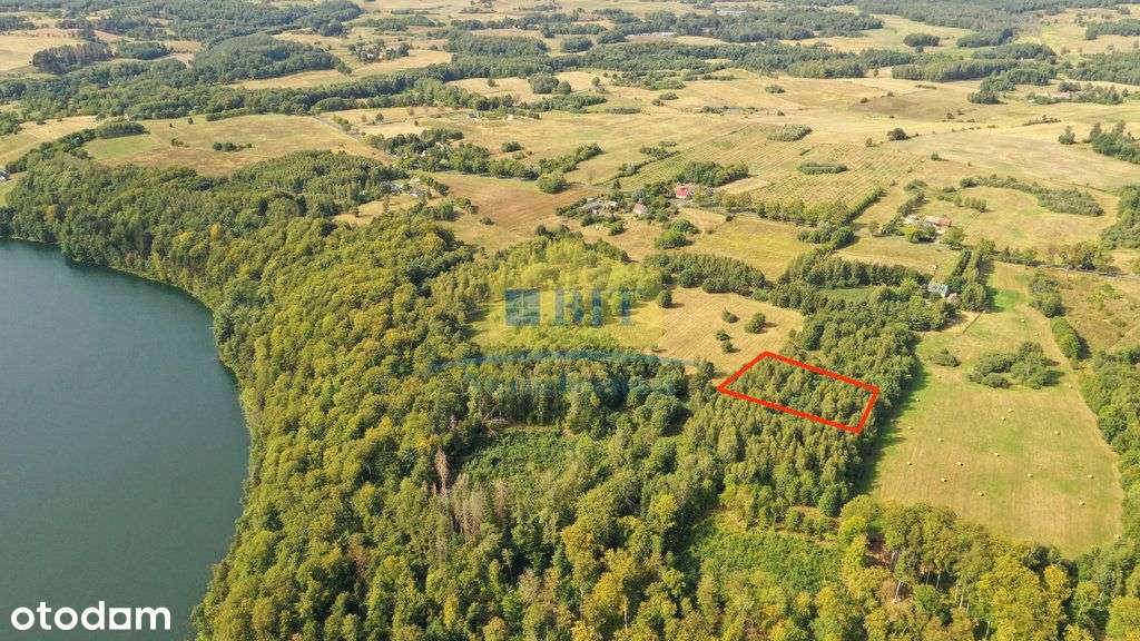 Działka 3087m2 nad jeziorem Komorze - Pełny obrazek: 4/14