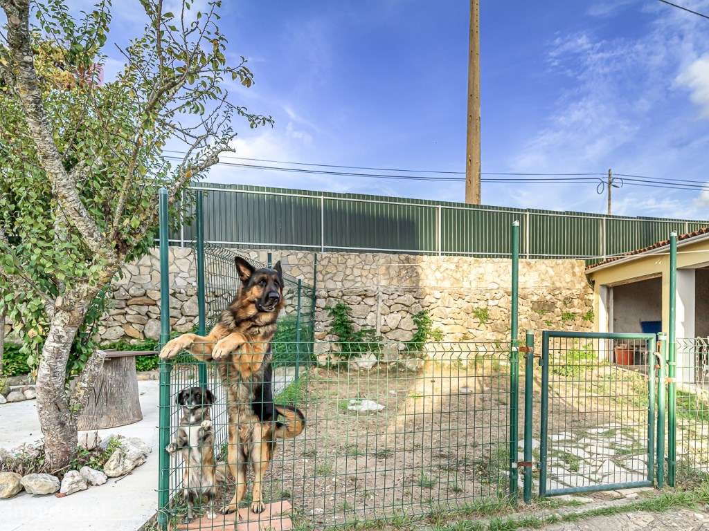 Moradia T5 renovada em Algueirão-Mem Martins, com piscina e jardim-27