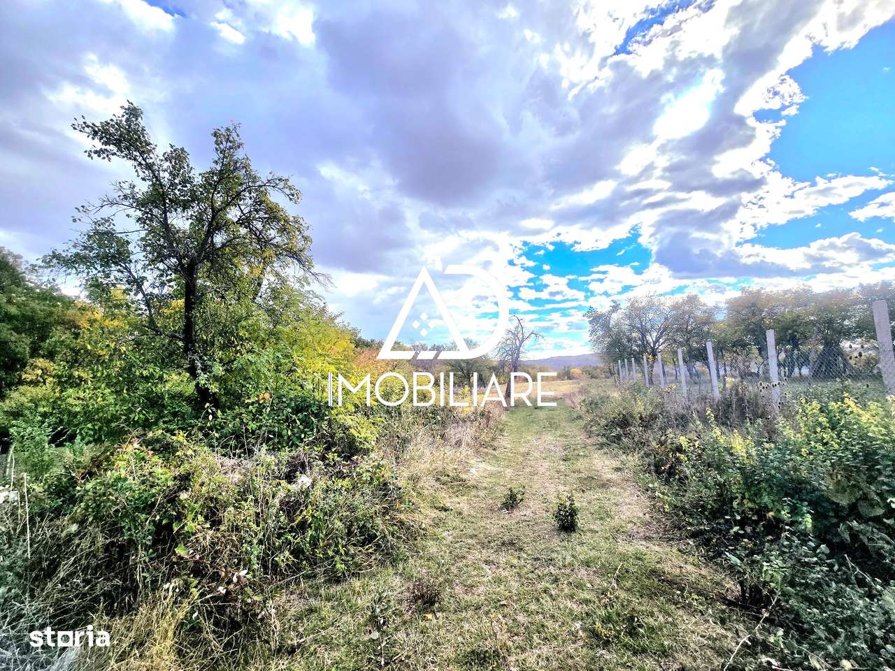 Teren intravilan 2905 mp – comuna Bălănesti jud.Gorj - Imagine principală: 5/5