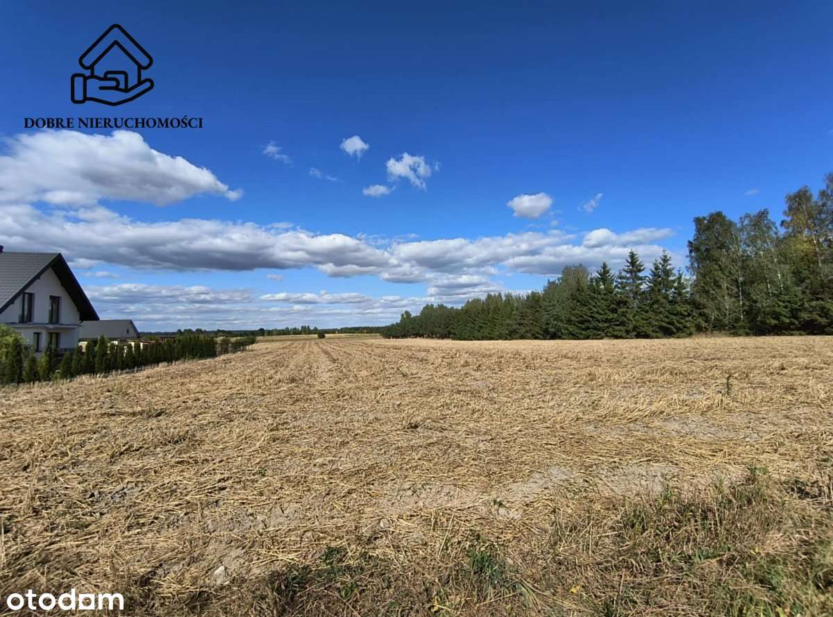 2564 m2 przy drodze asfaltowej - piękna okolica. - Pełny obrazek: 4/4