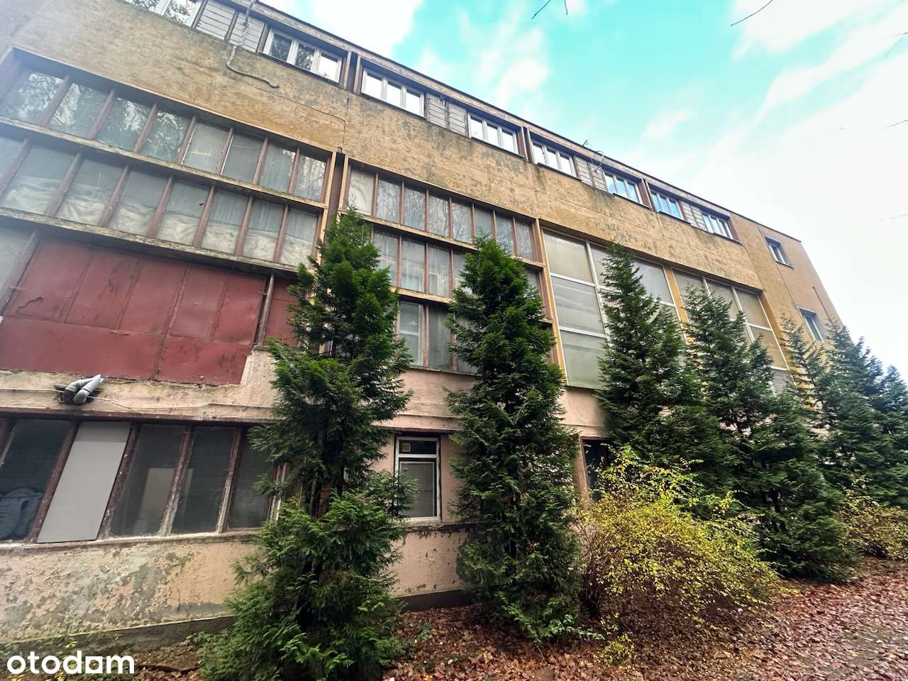 Do wynajęcia: obiekt biurowo-magazynowy Sopot, ul. Cieszyńskiego 15–17 - Pełny obrazek: 5/13