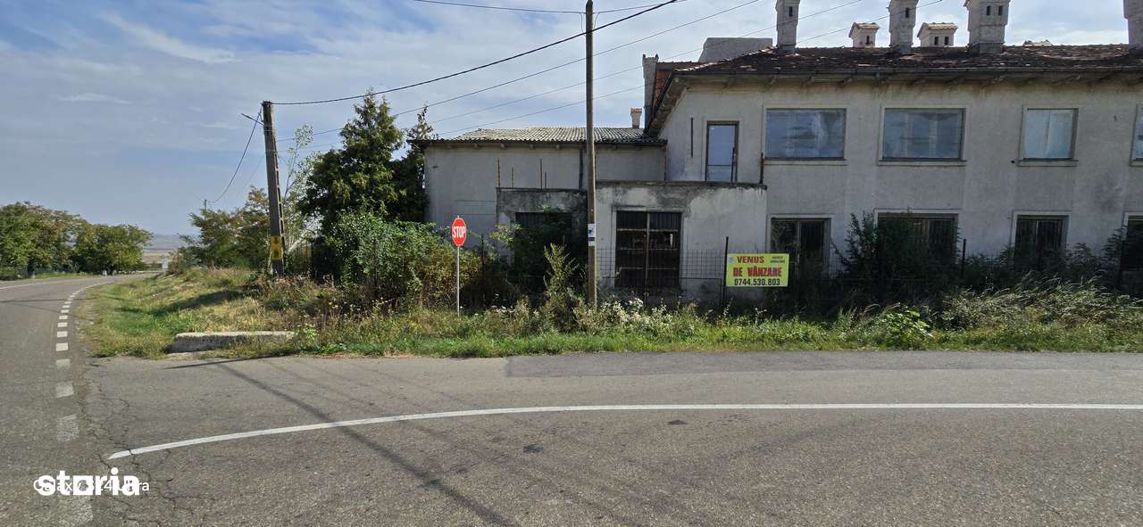 Constructii la strada in Cucorani pe 1 ha de teren - Imagine principală: 4/12