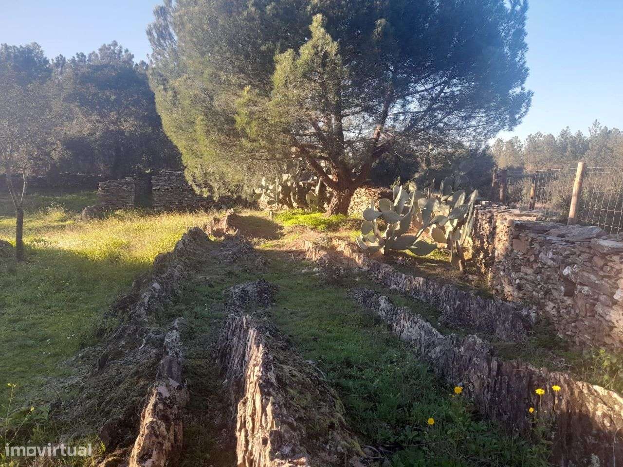 Quintinha - Grande imagem: 2/6