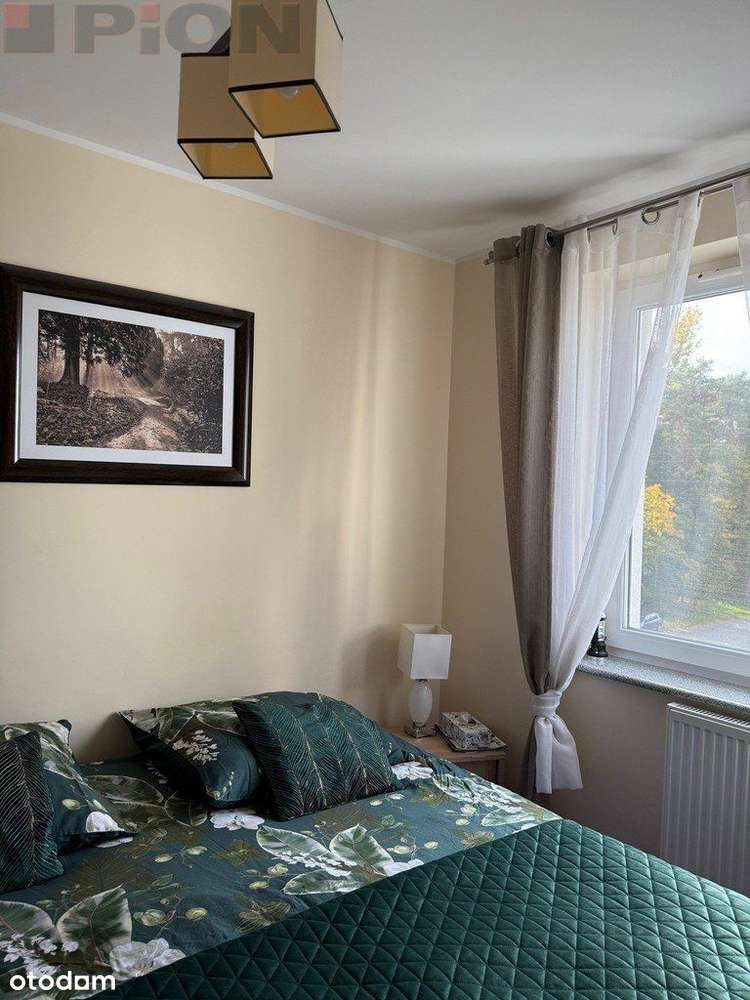 Nad morzem przy lesie - Pełny obrazek: 5/13