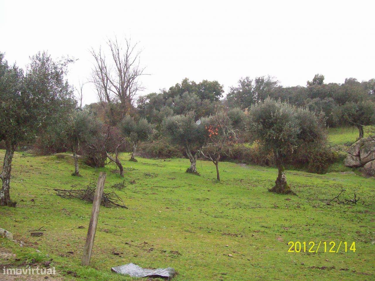 Herdade do Monte da Pedra.-16