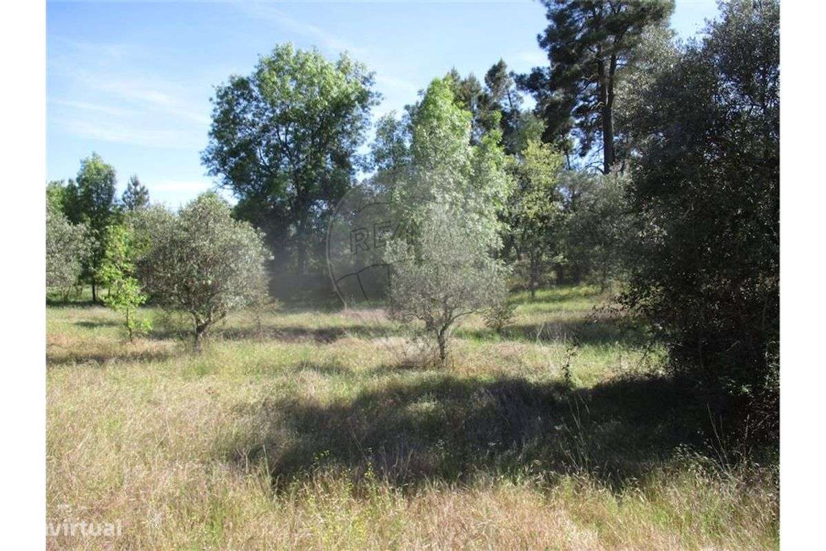 Quinta T0 para venda - Grande imagem: 3/9