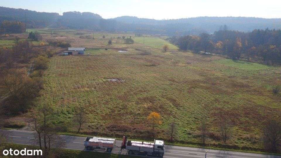 Usługowa ,,U1"- szerokość 100m przy głównej drodze-9