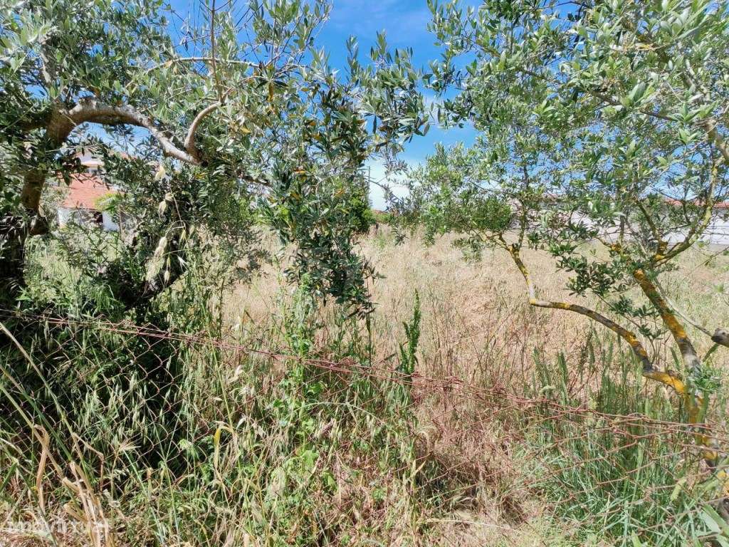 Terreno rústico em excelente localização - Grande imagem: 5/10