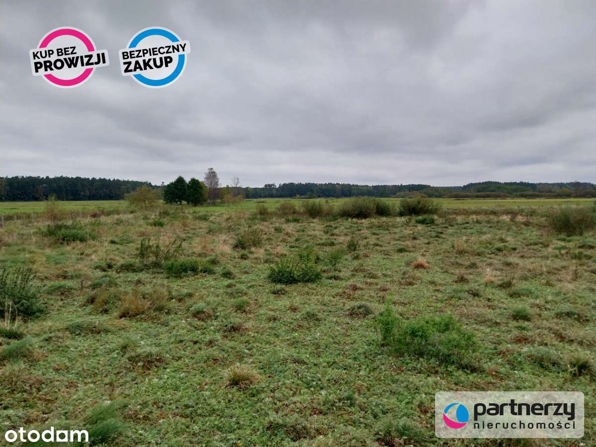 Działka ze stawami otoczona lasem - Pełny obrazek: 4/6