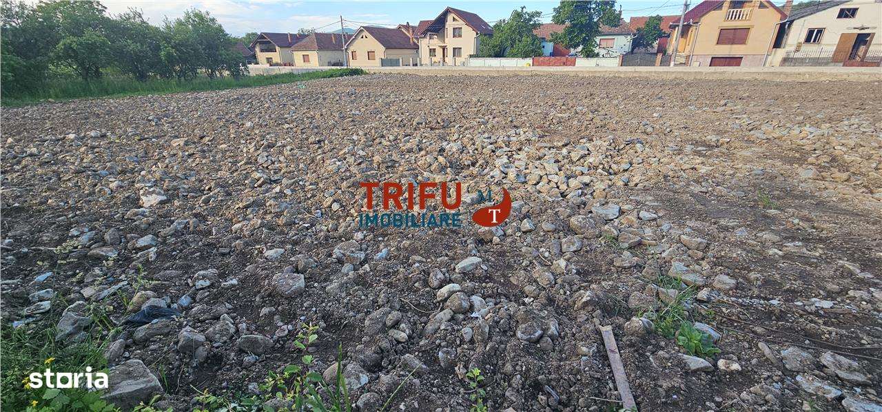 Teren de vanzare in Bucerdea Vinoasa - Imagine principală: 2/5