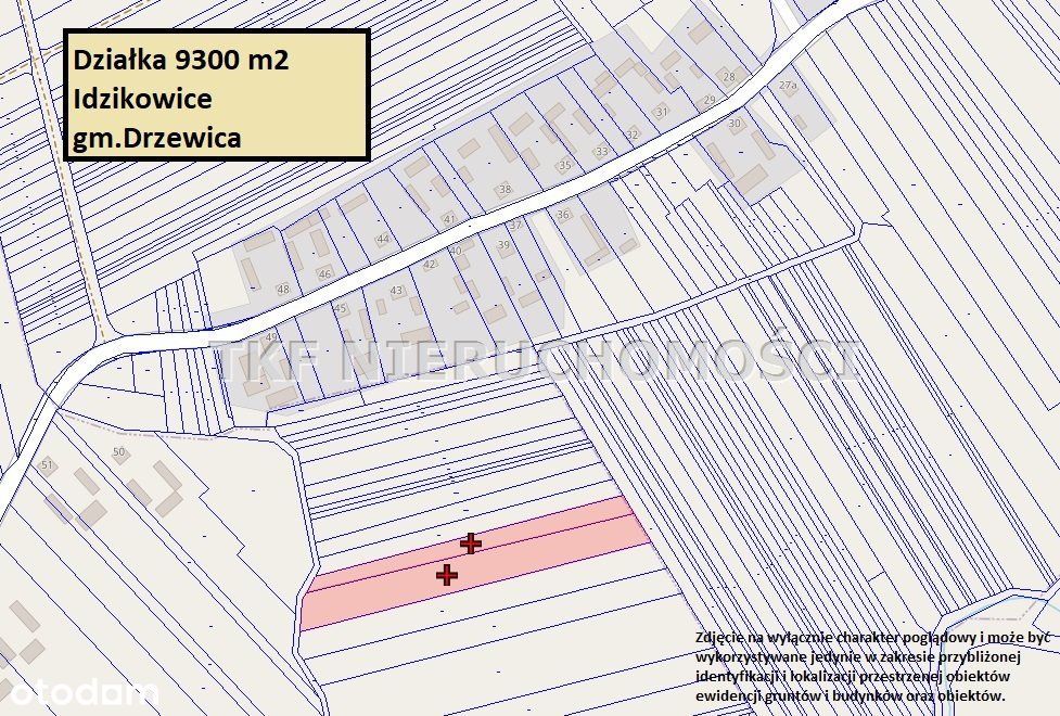 Działka rolna 9300 m2 Idzikowice gm. Drzewica