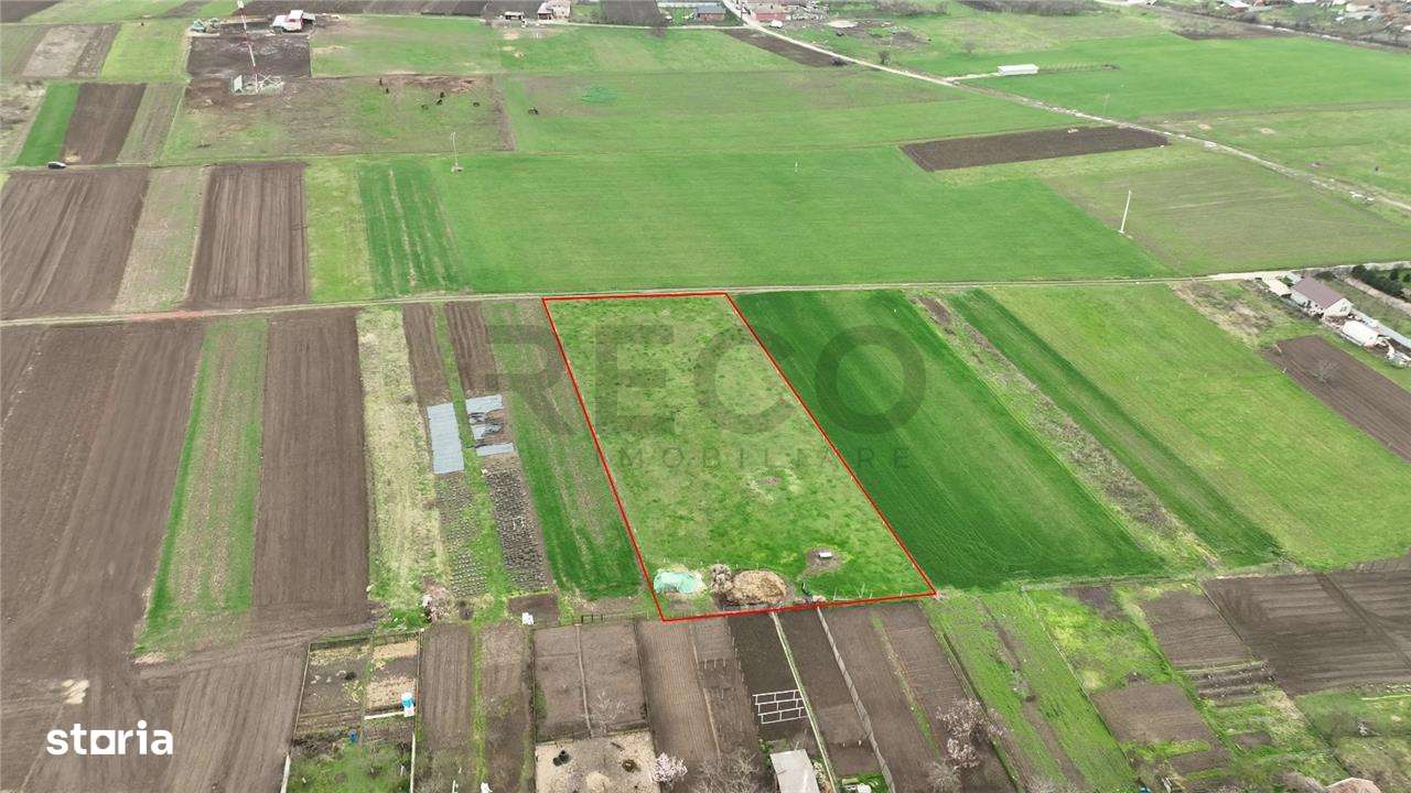 RECO Teren intravilan Girisu de Cris - Imagine principală: 4/5