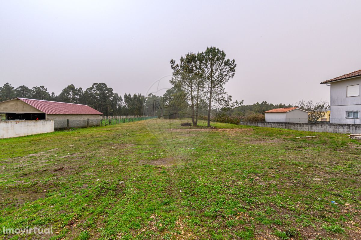 Terreno  para venda