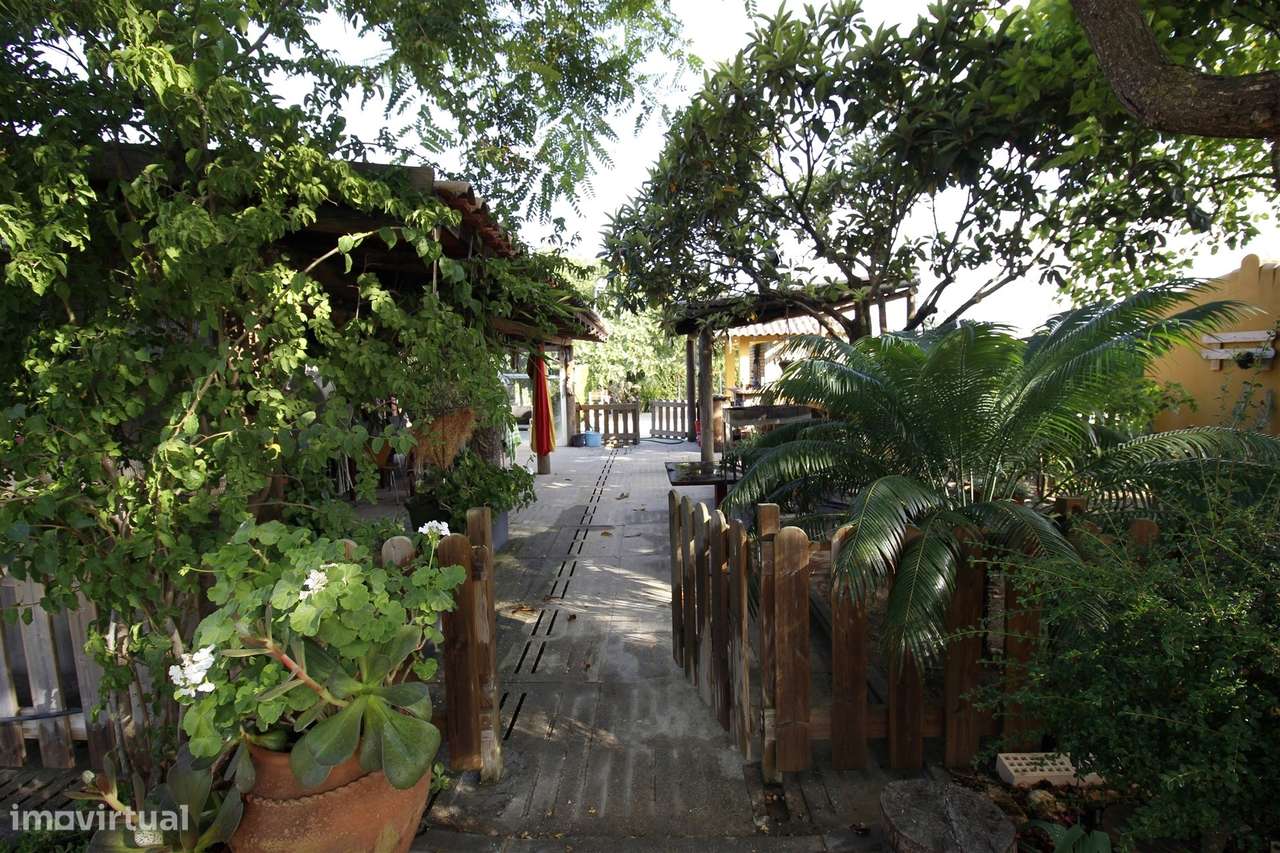 Quinta  Venda em Vendas Novas,Vendas Novas-4