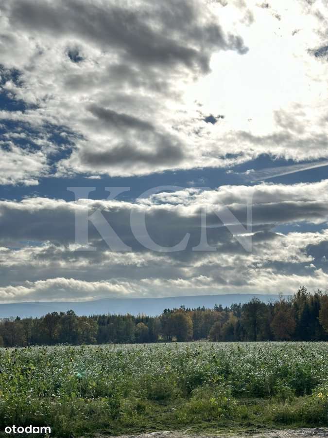 Działka w Młyńsku-4