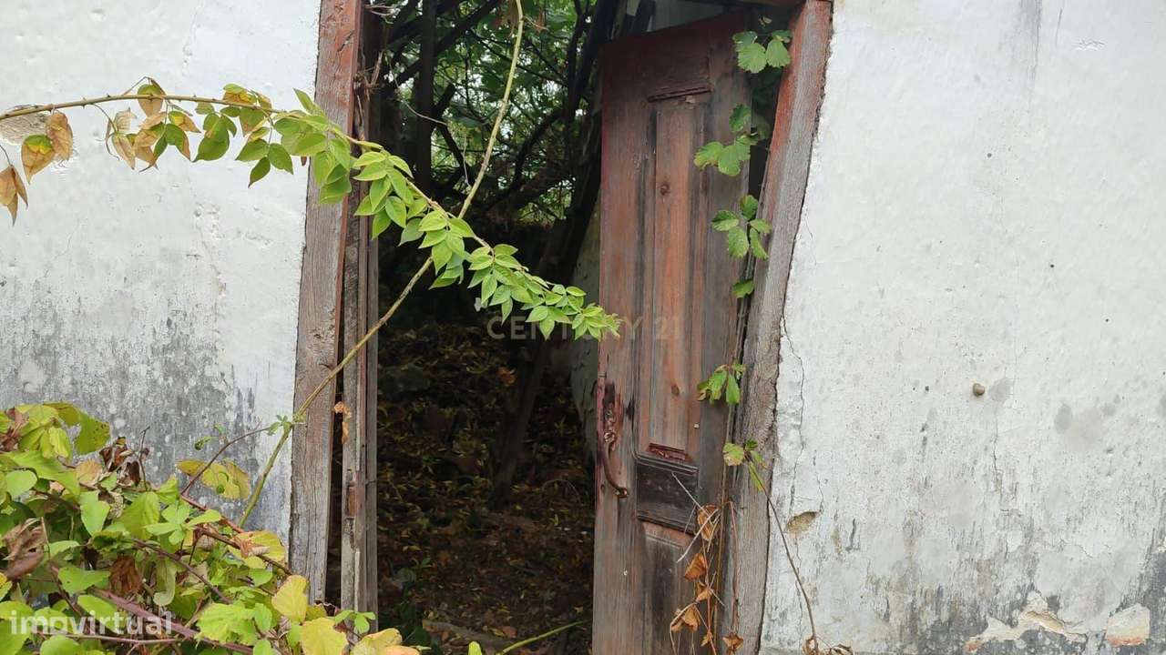 Casa de Campo em São Vicente do Paul, Santarém - Oportunidade Única-31