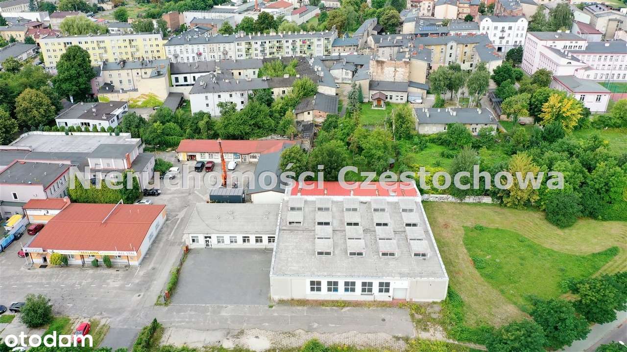 Hala Krakowska - Pełny obrazek: 2/11