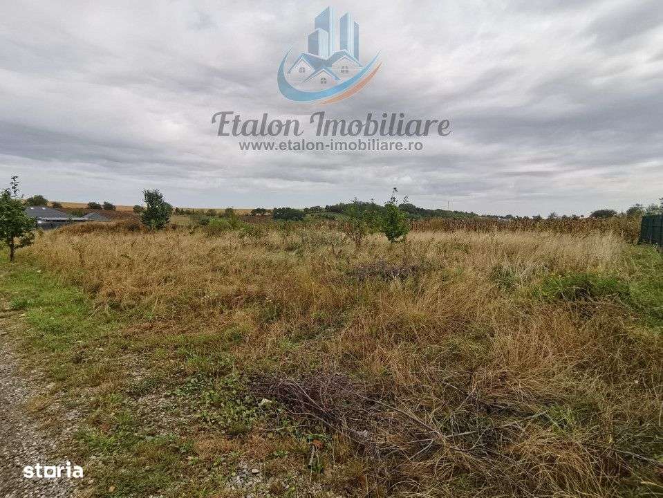 Teren drept 1260 mp, deschidere de 50 m, Loc. Dobreni, Jud Neamt - Imagine principală: 1/1