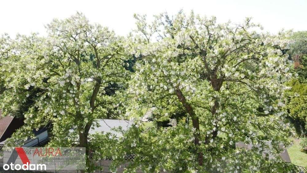 Mieszkanie w kamienicy w świetnej lokalizacji.-7