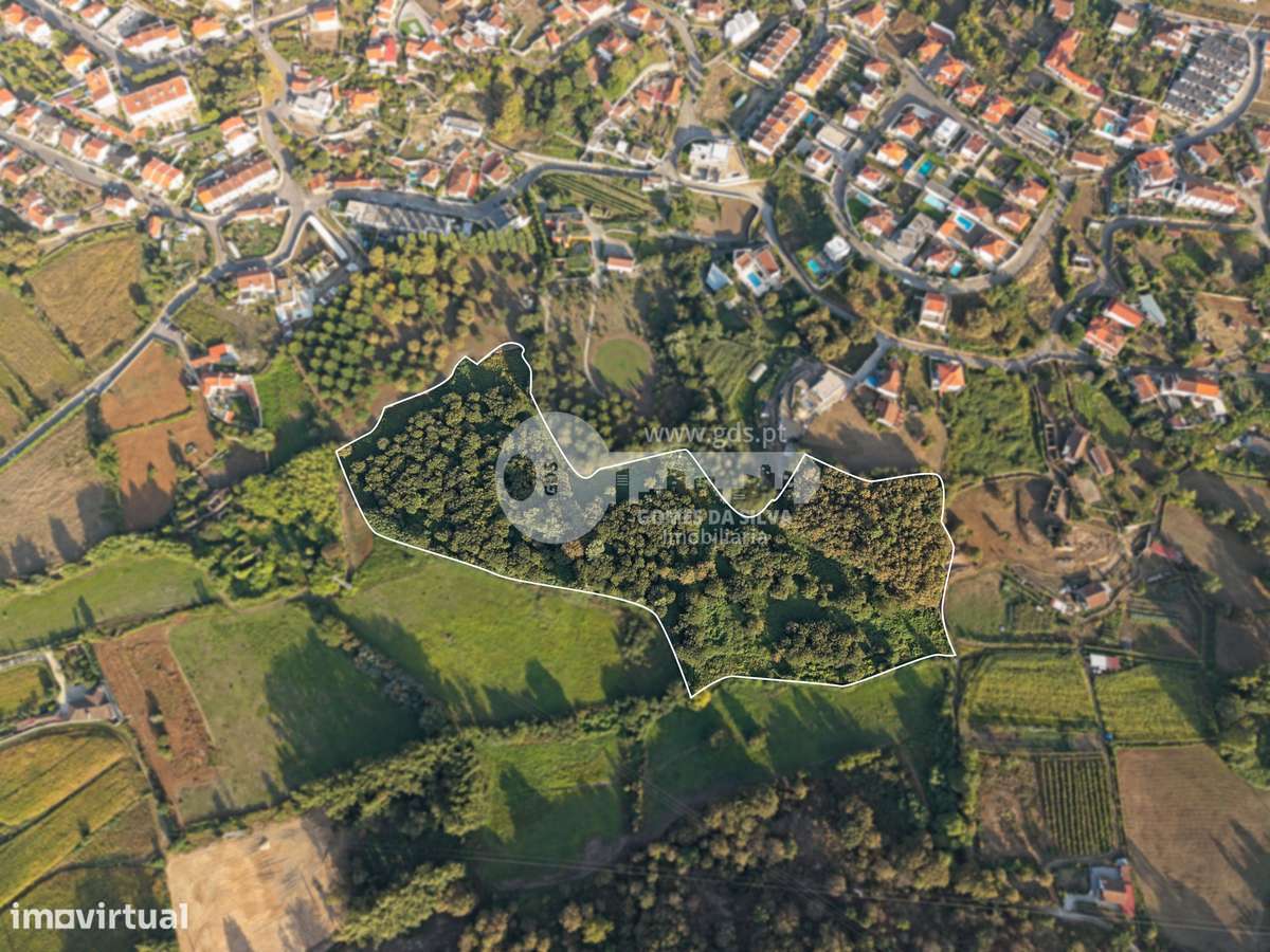 Terreno Rústico com 35.441 m² em Adaúfe, Braga - Grande imagem: 4/33