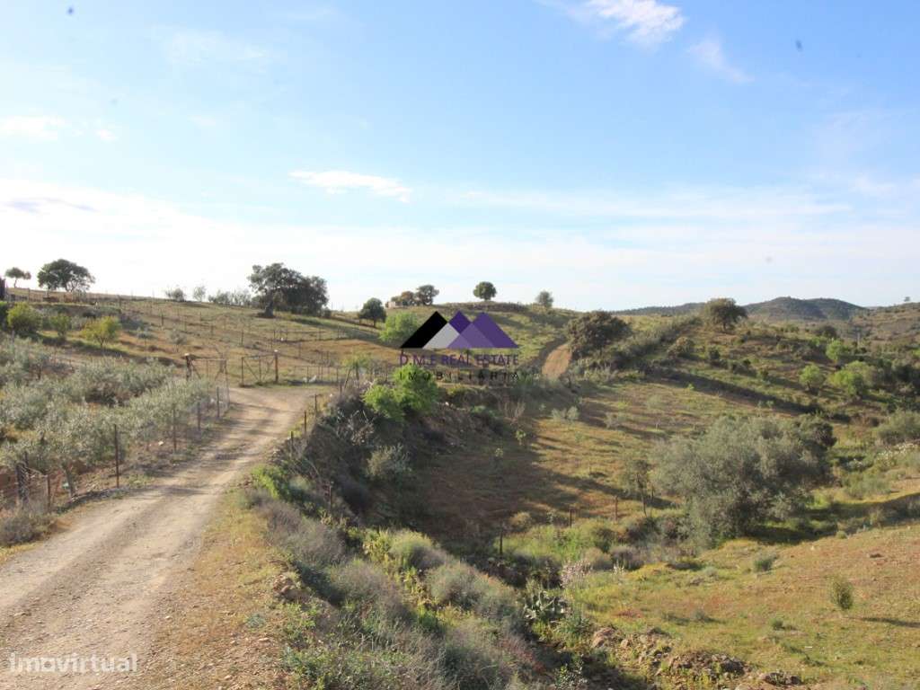 Terrenos Rústicos - 2 Artigos - Grande imagem: 2/27