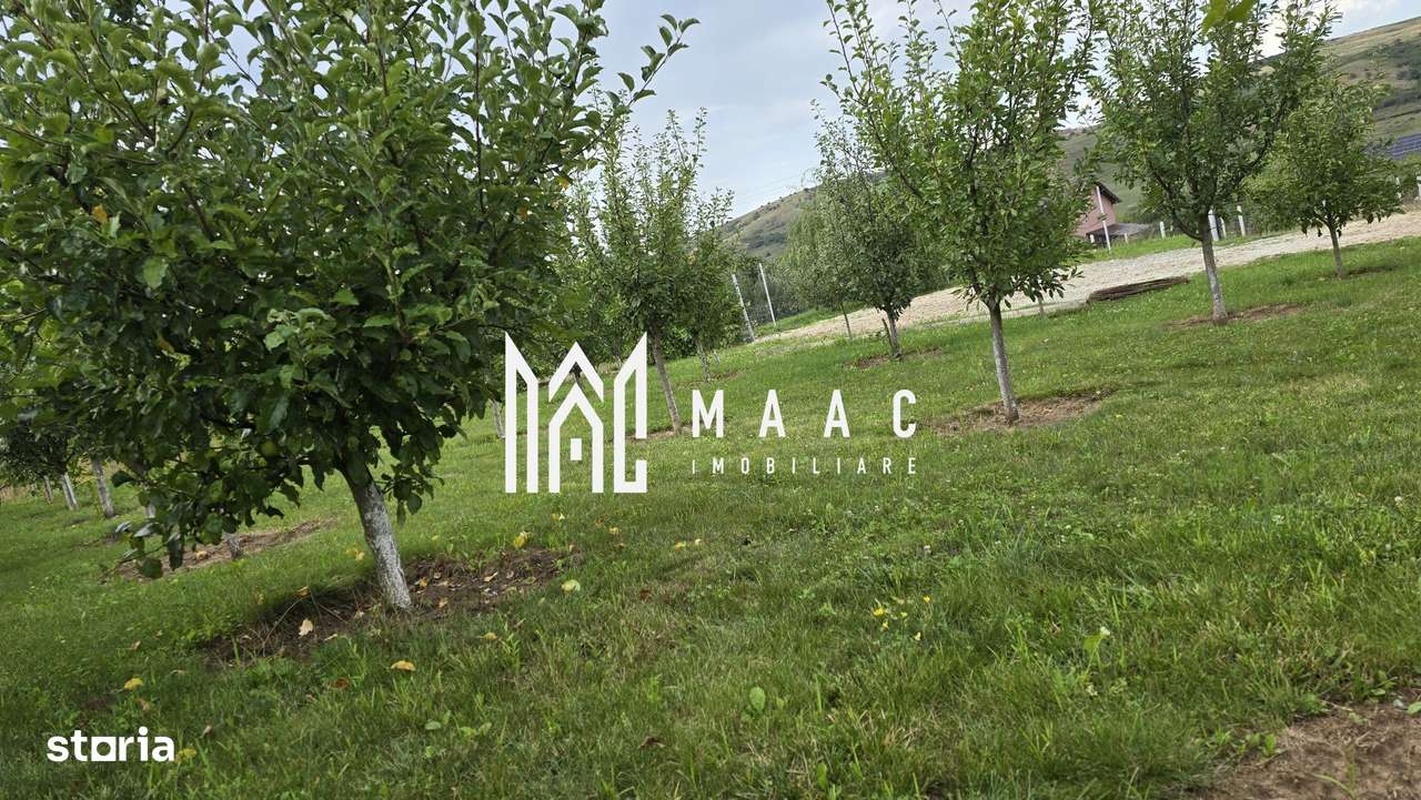 Teren Intravilan | 670 Mp |  Daia - Imagine principală: 4/5