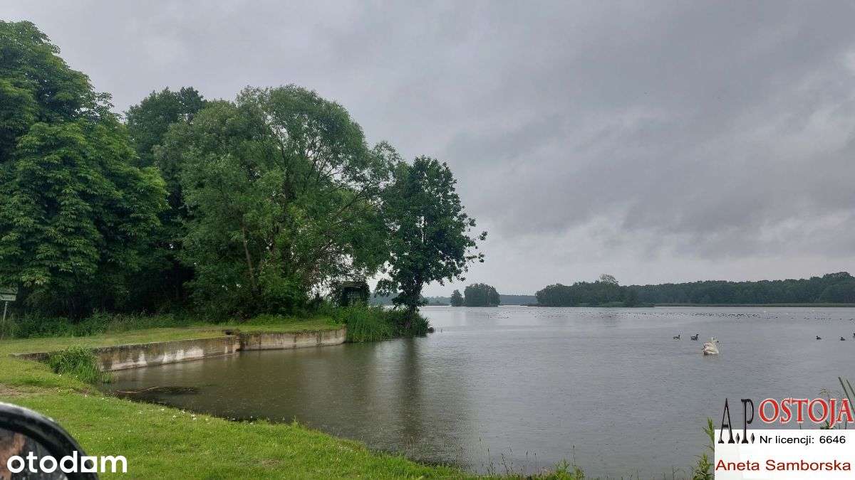 Atrakcyjna okolice, stawy, warunki zab., Park! - Pełny obrazek: 5/15