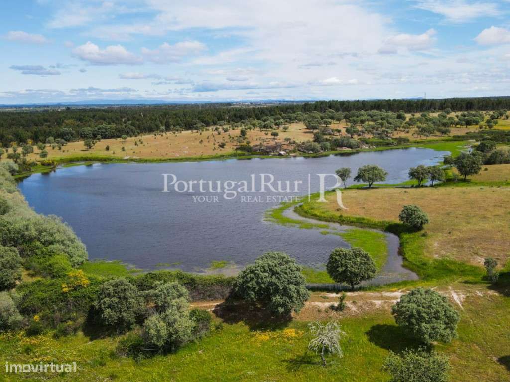 Herdade Ganadeira | Bovinos | Suínos | Caprinos com 186 Hectares no... - Grande imagem: 1/52