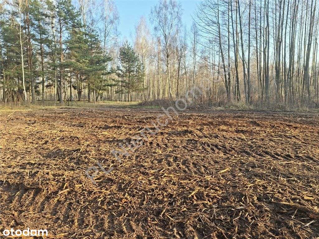 Działka rolna na "wypady" rekreacyjne - Pełny obrazek: 5/13