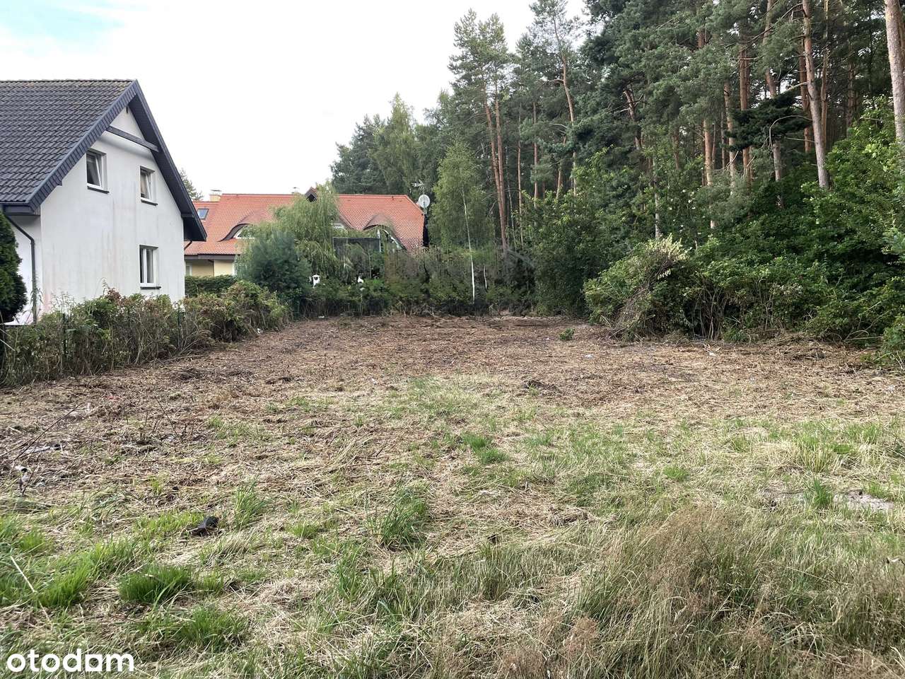 Działka budowlana nad morzem | przylega do ściany lasu | MPZP - Pełny obrazek: 4/7