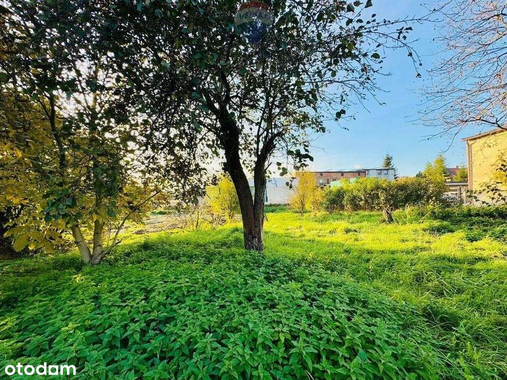 Działka budowlana 1766 m² z garażem – Niedobczyce - Pełny obrazek: 4/13