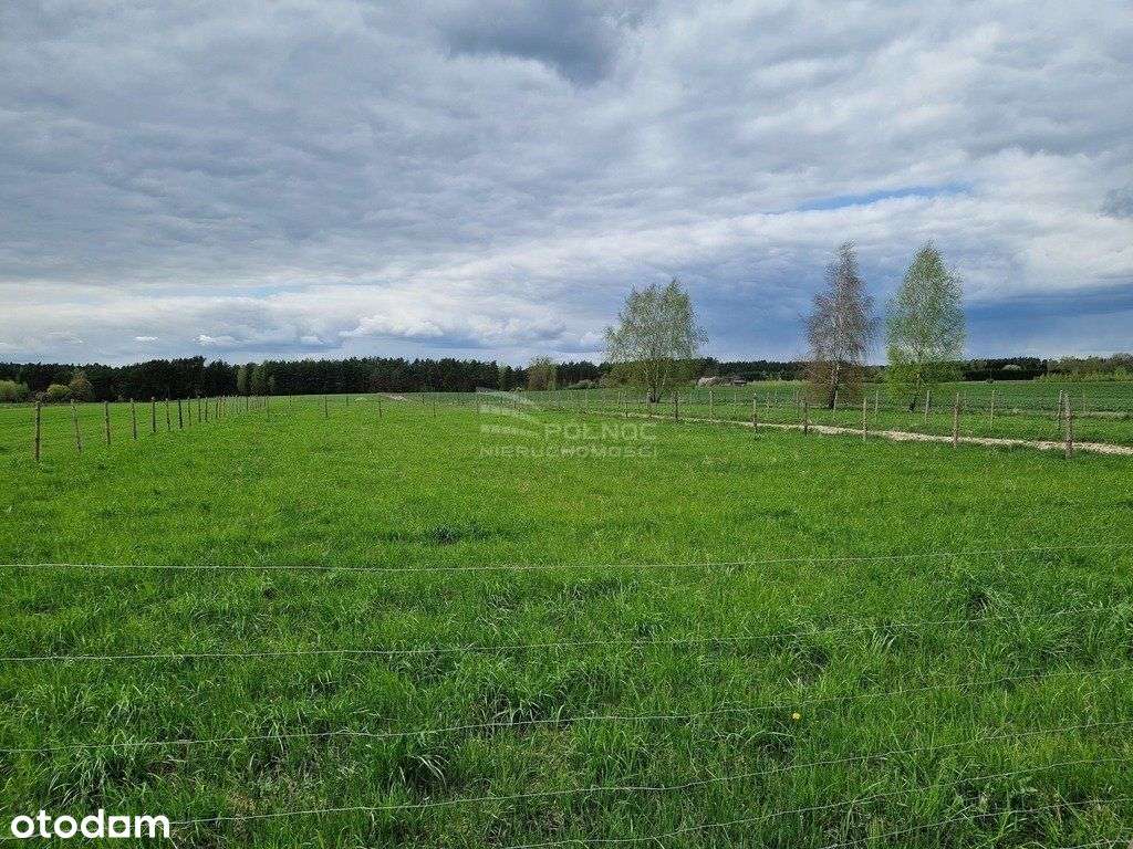 Henrykowo – Raj wśród zieleni, spokój i natura-9