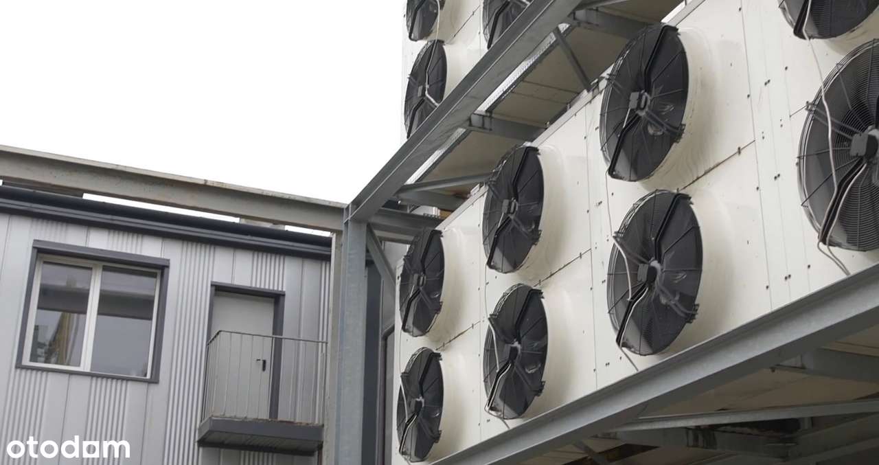 Kompleks hal magazynowych z chłodniami - Pełny obrazek: 4/5