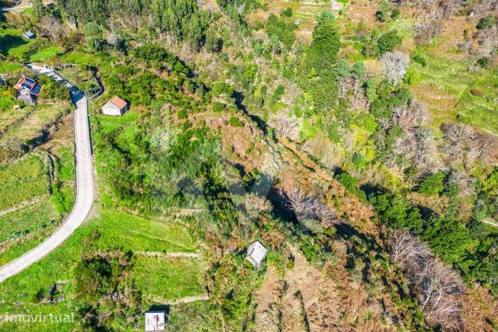 Terreno com 2226 m2 - Fajã das éguas - 3 Palheiros em ruína - Ribeira - Grande imagem: 5/9