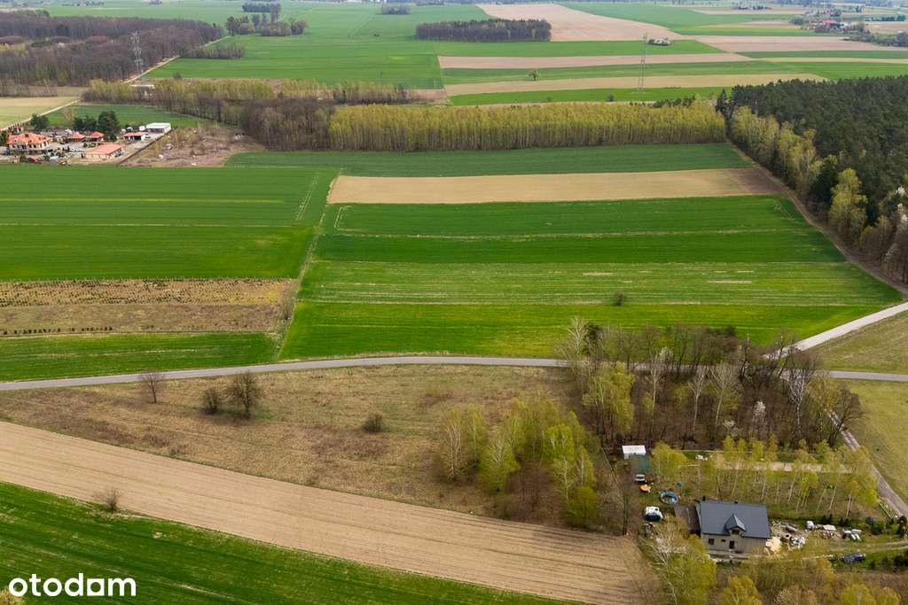 Działka na sprzedaż 3900 m2 - Syberia gm. Brzeziny - Pełny obrazek: 4/9