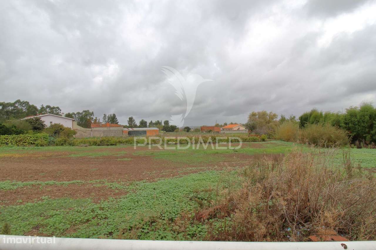Terreno com 30 metros de frente para construção de moradia em Oiã - Grande imagem: 5/10