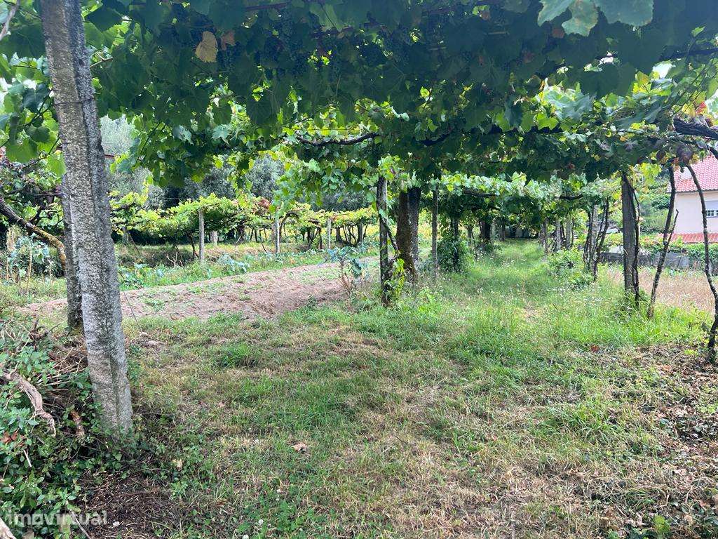 Terreno em zona de construção na Seara Ponte de Lima - Grande imagem: 5/5