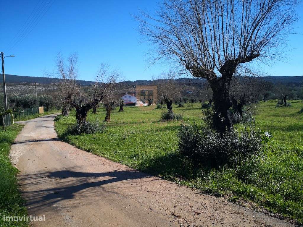 Oportunidade moradia T2 no campo - Freixianda-4