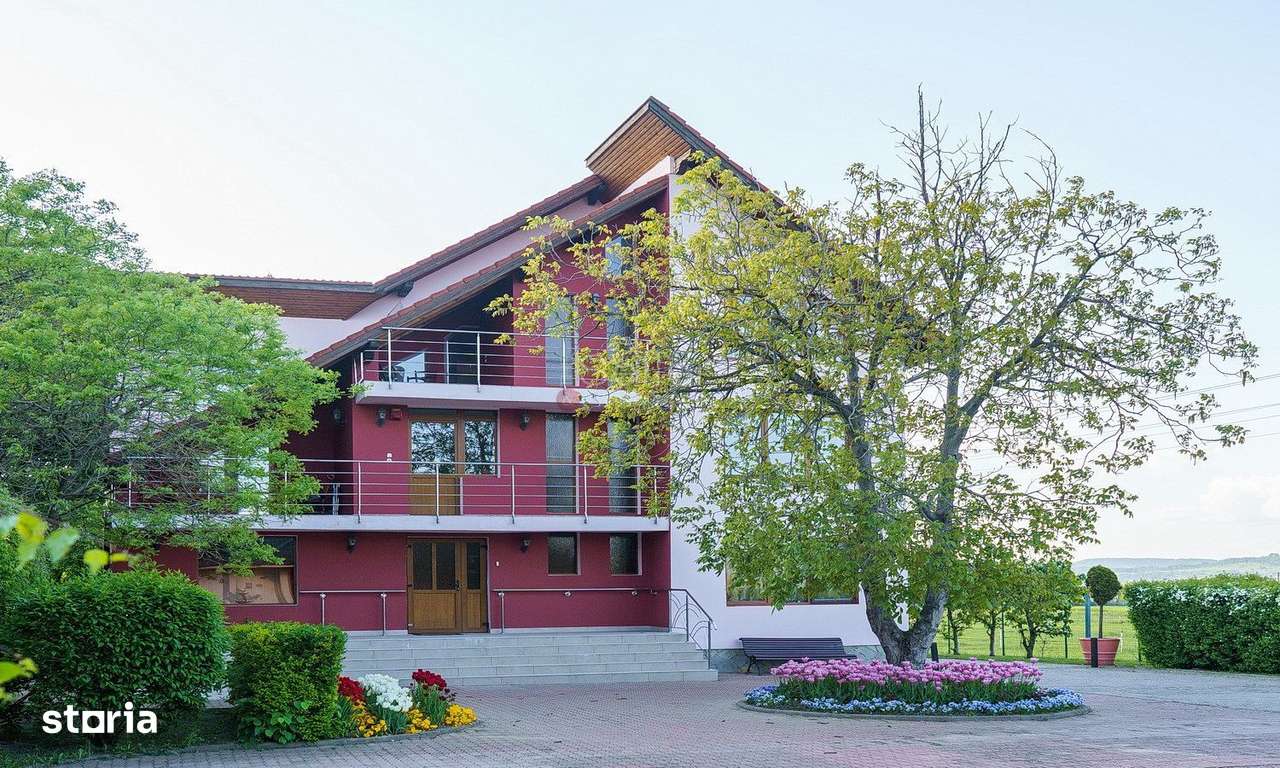 Proximitate fata de Castelul Bran - Imagine principală: 1/20