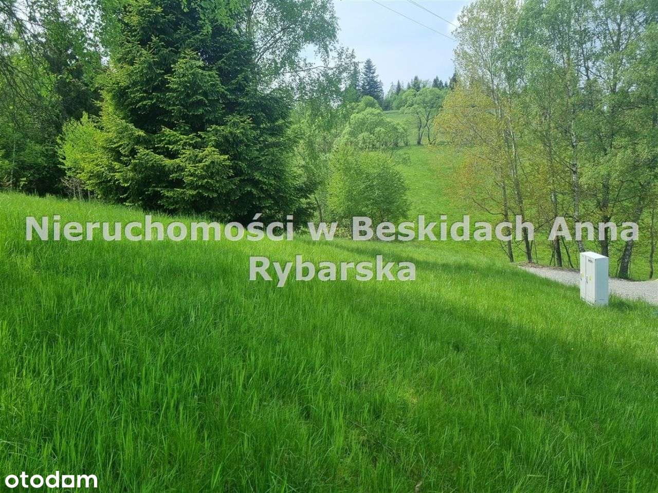 Działka budowlana za rzeką -jeszcze niższa cena . - Pełny obrazek: 4/4