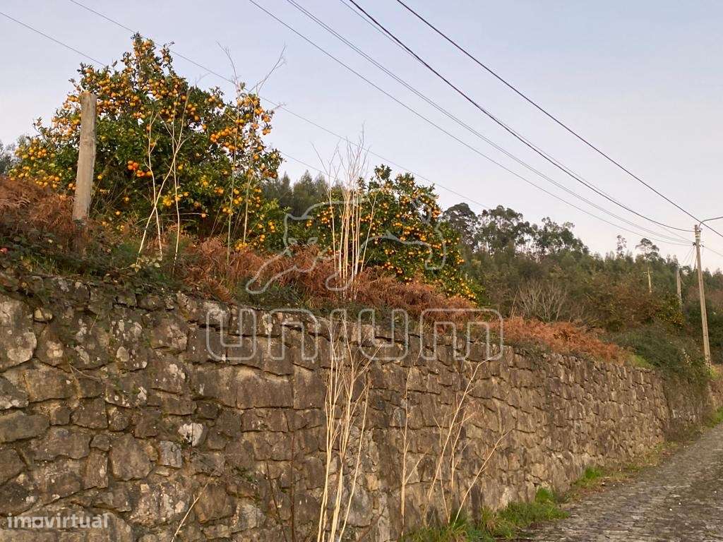 Terreno em Ponte de Lima - Grande imagem: 2/16