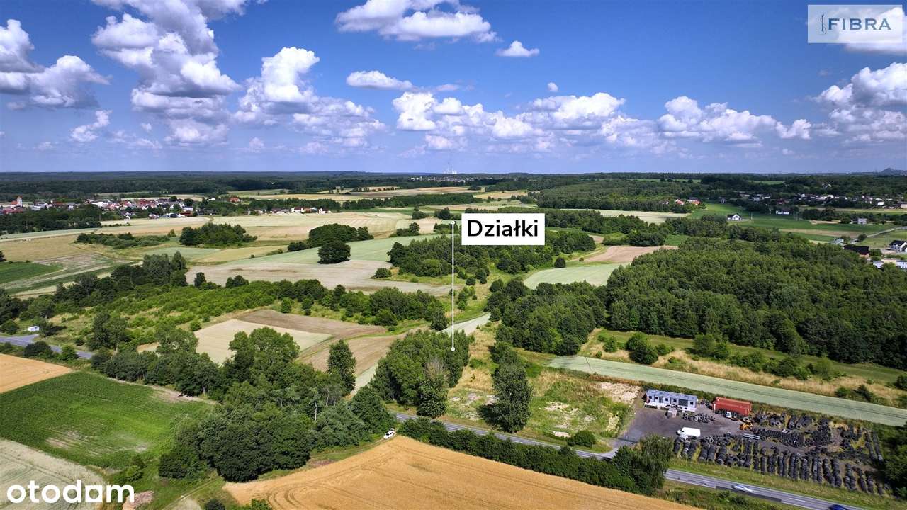 Nowa cena, teraz mniej o 90 tys. - Pełny obrazek: 5/14