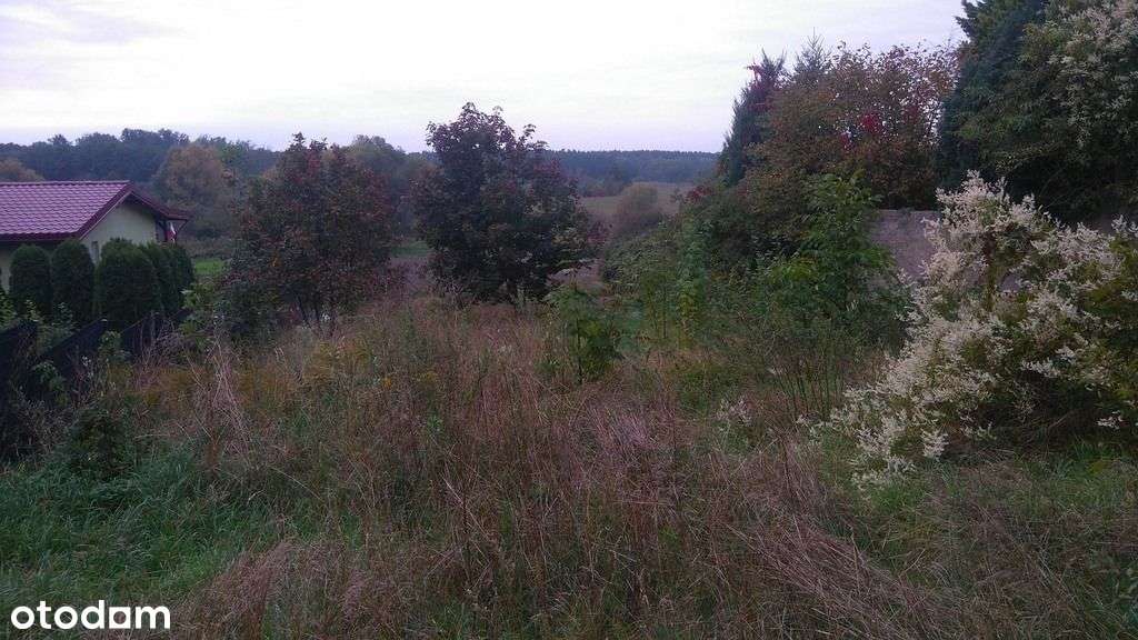 Lusowo działka 863m2 widok w kierunku jeziora - Pełny obrazek: 5/6