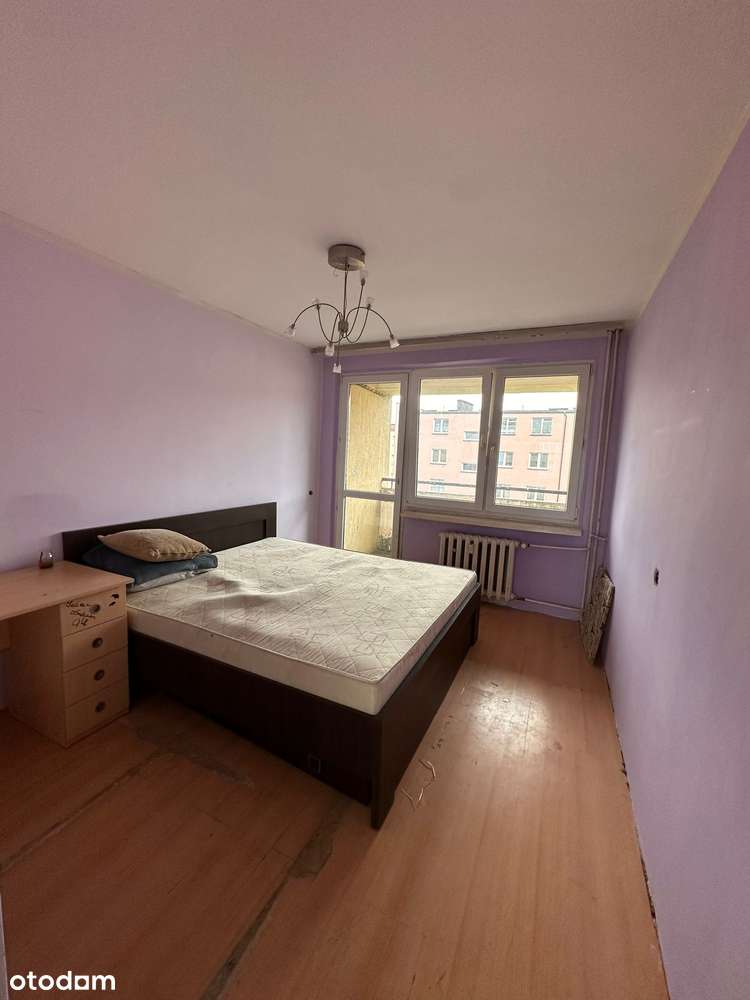 2 pokoje, balkon, do negocjacji - Pełny obrazek: 5/5