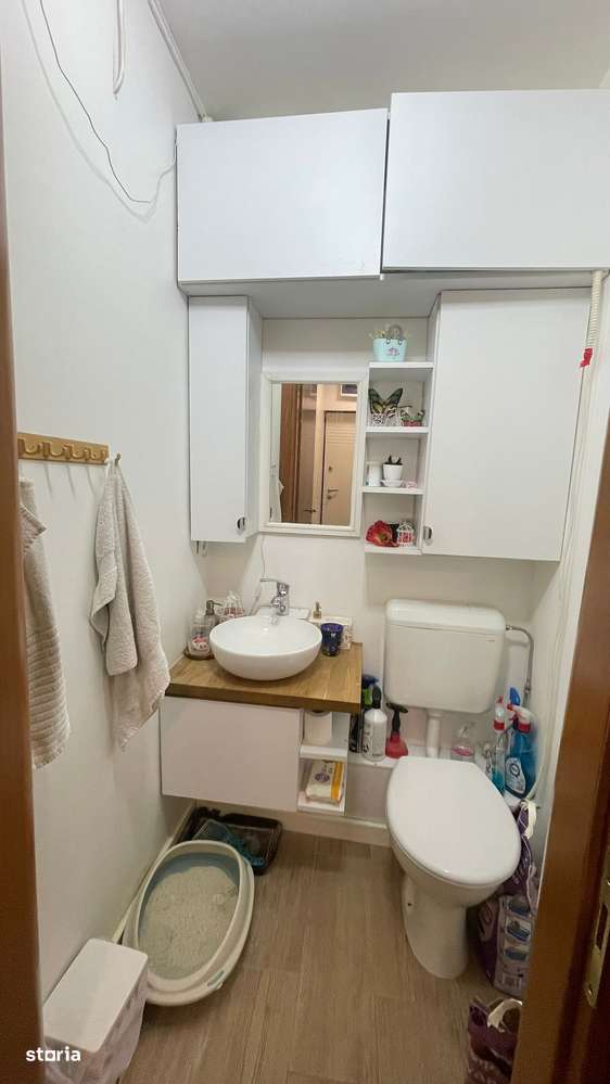 Drumul Taberei, Raul Doamnei-2