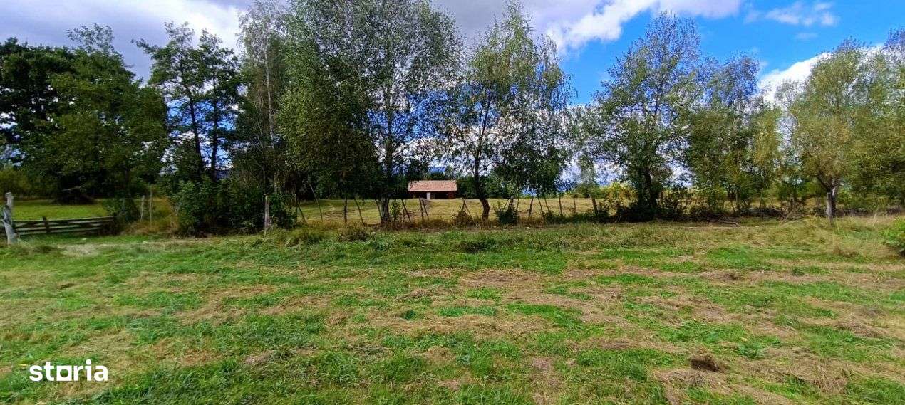 Teren cu suprafata generoasa in zona pitoreasca - Bran Sohodol-0