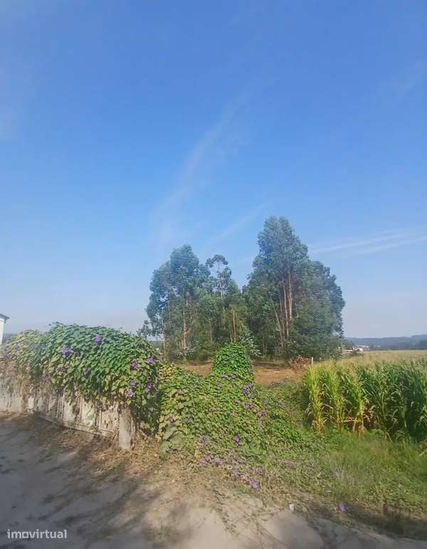 Terreno Urbanizável, 1 906,01 m², Silveiros - Grande imagem: 5/6