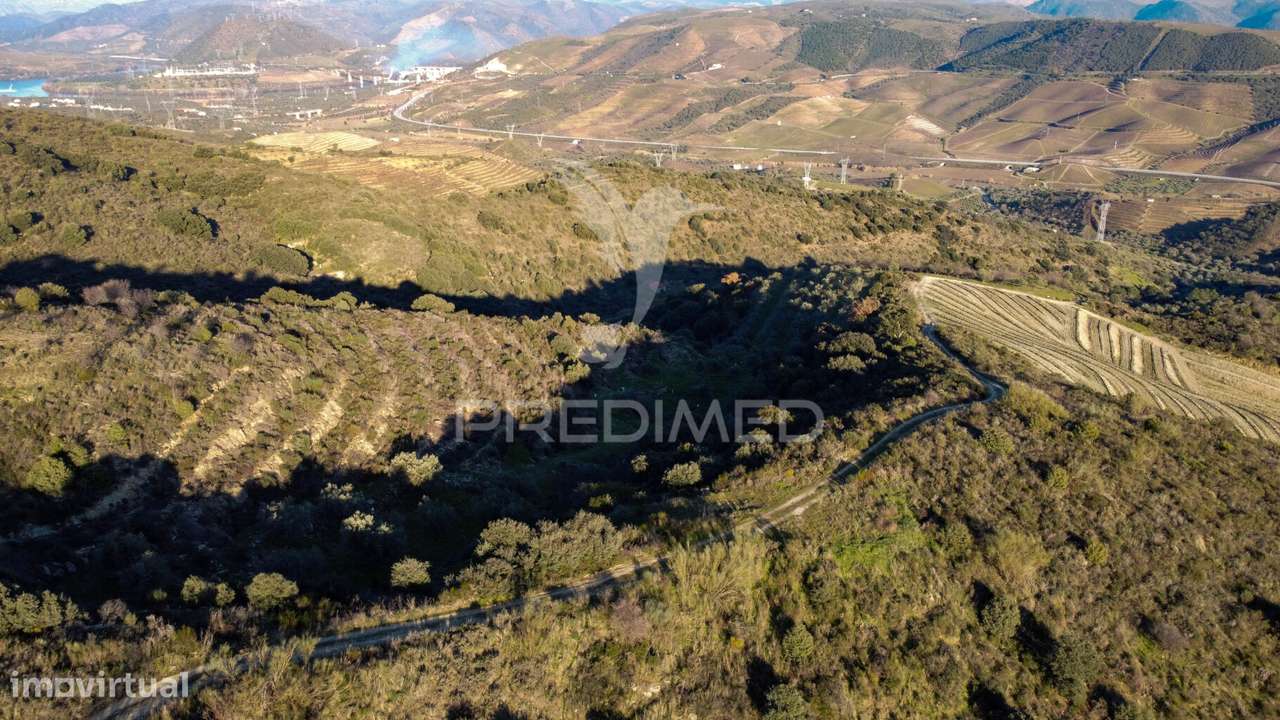 Propriedade de Excelência com Mais de 22 Hectares no Coração do Douro - Grande imagem: 4/30