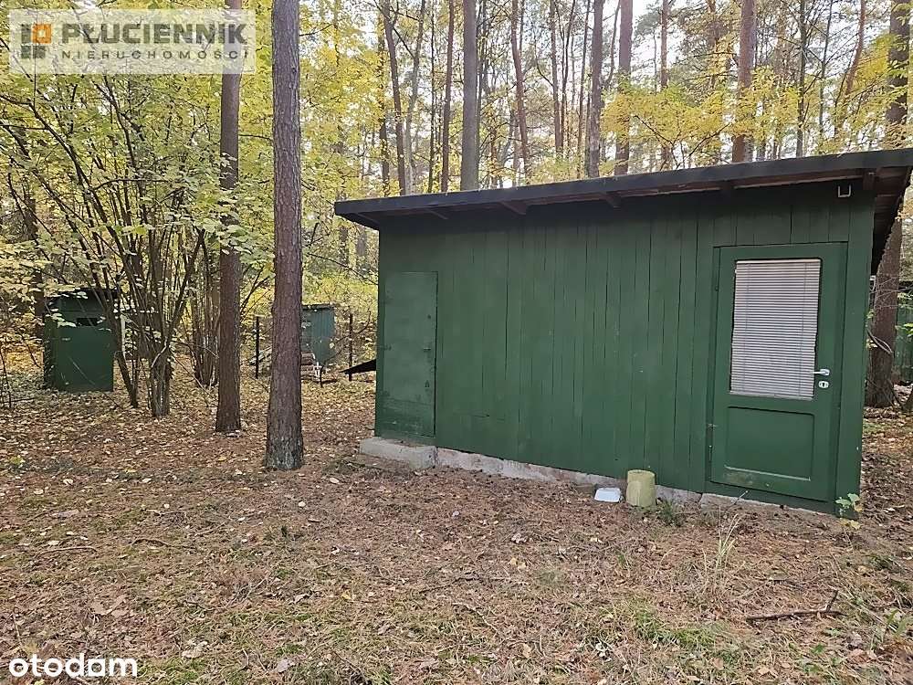 Sokolniki Las, działka na sprzedaż - Pełny obrazek: 4/7