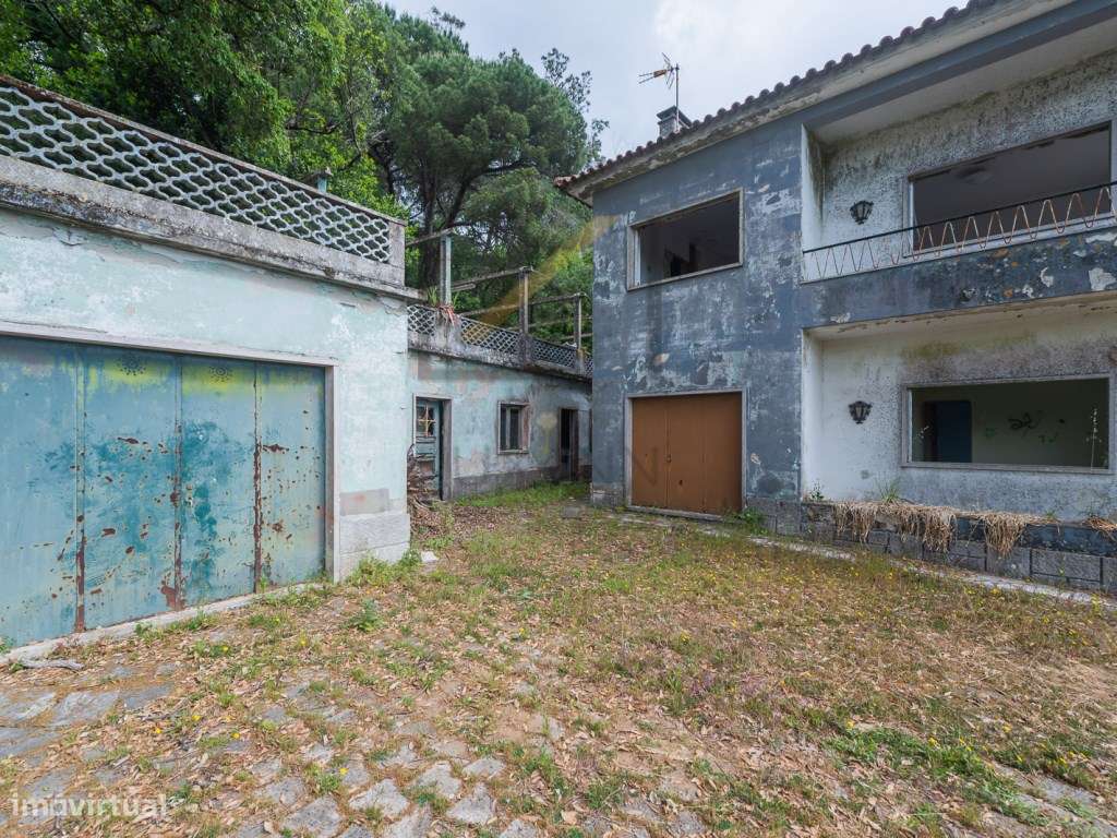 Quinta de 1 ha com moradia de 260 m2-22